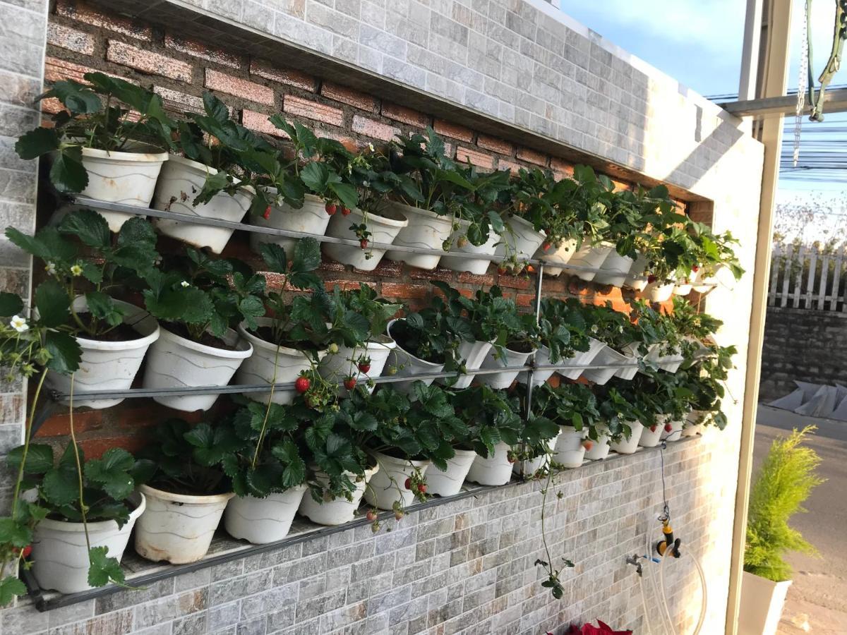 Greenview Dalat Zewnętrze zdjęcie